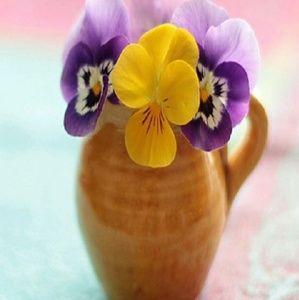 Meet your Posher, Patti